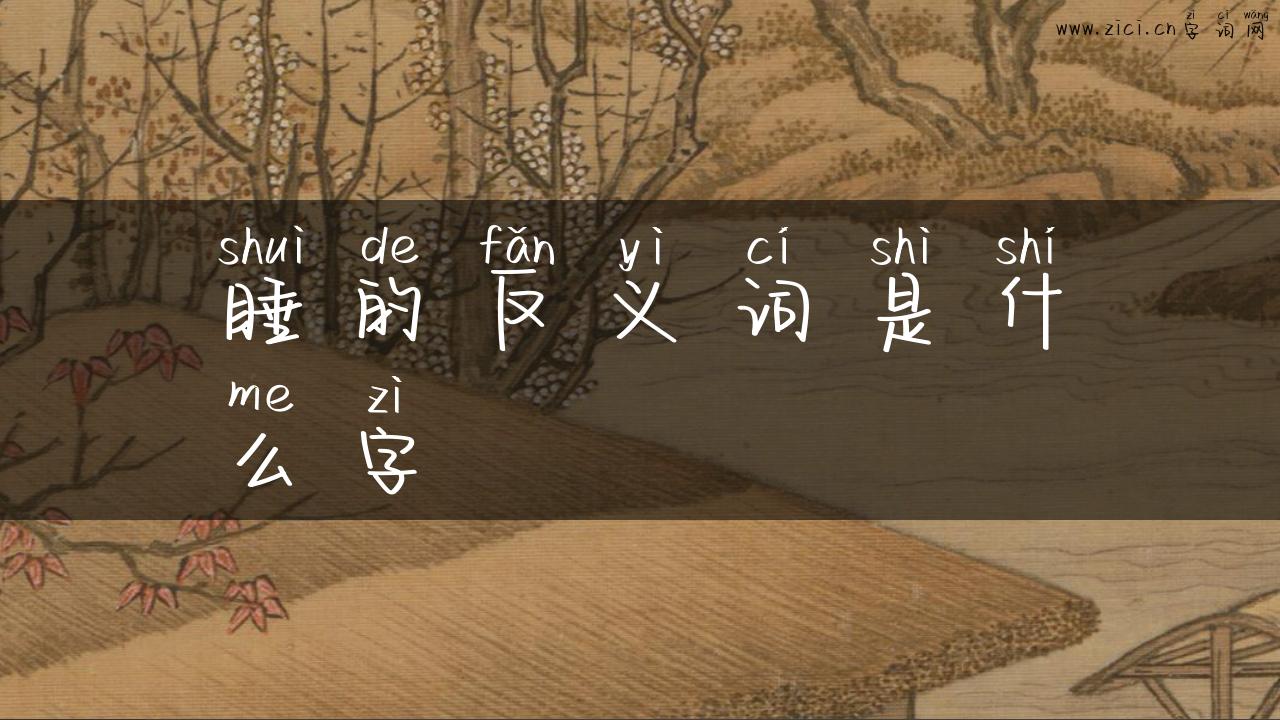 睡的反义词是什么字