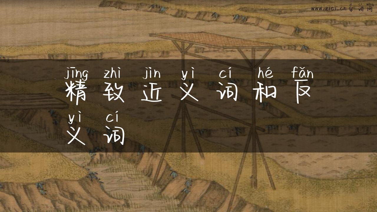 精致近义词和反义词