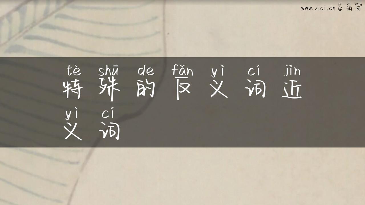 特殊的反义词近义词