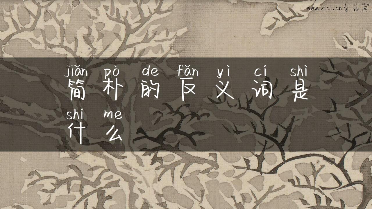 简朴的反义词是什么