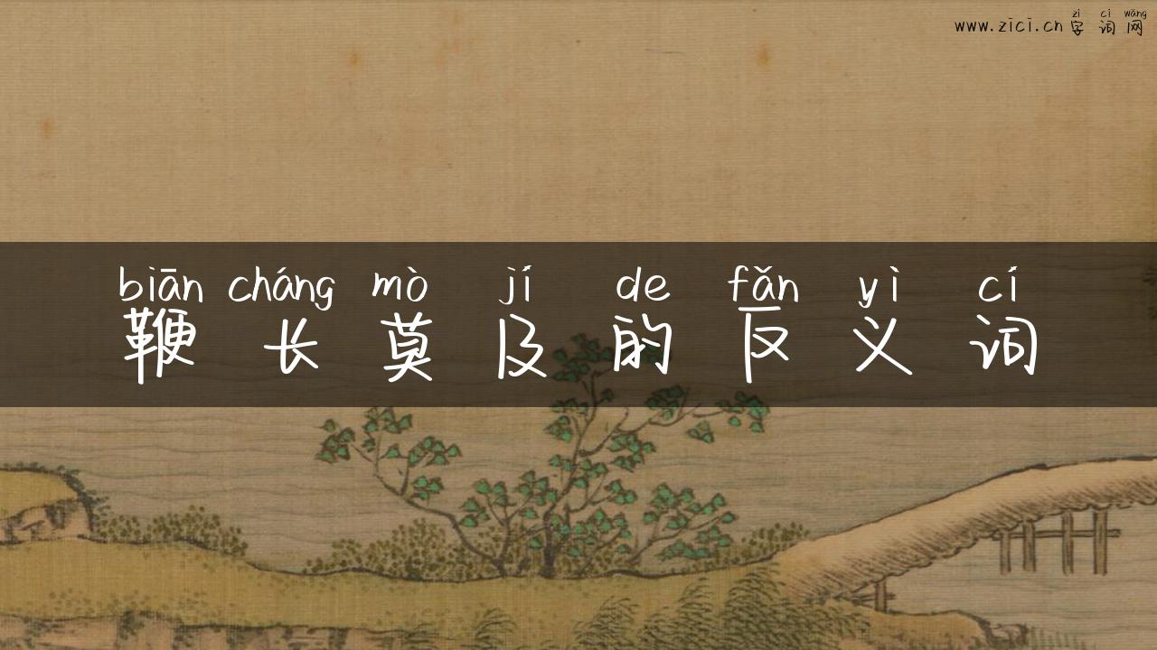 鞭长莫及的反义词