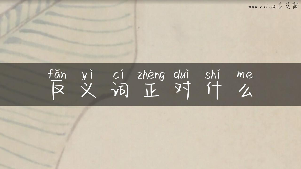 反义词正对什么