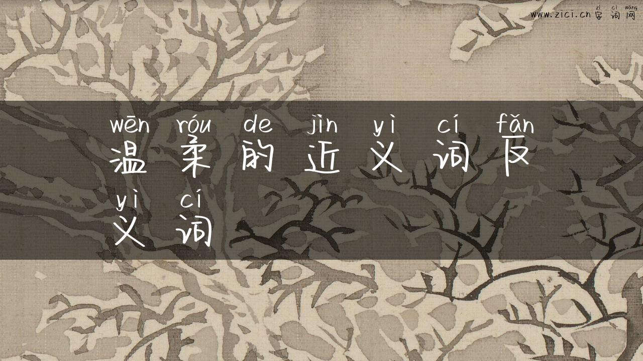 温柔的近义词反义词