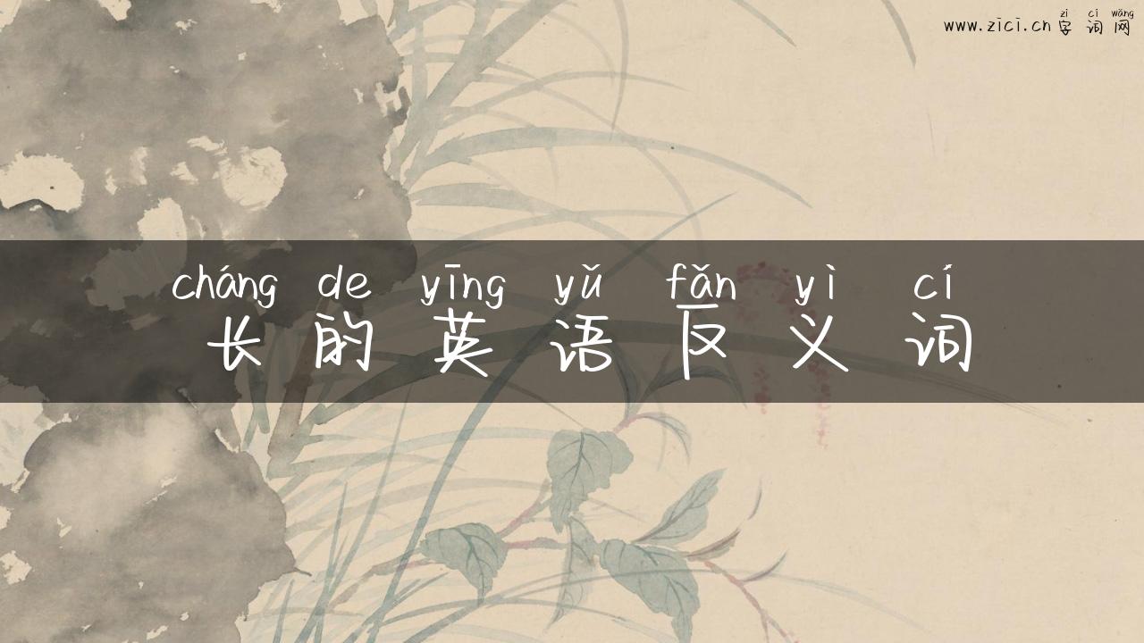 长的英语反义词