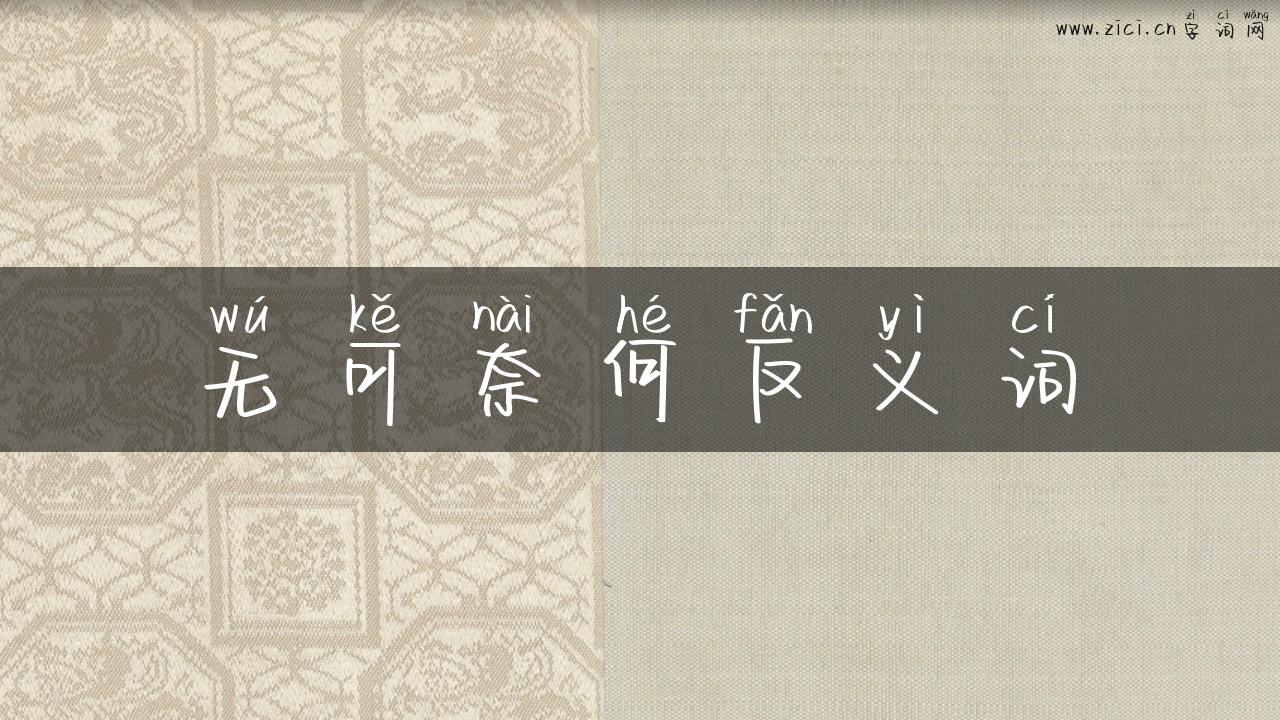 无可奈何反义词