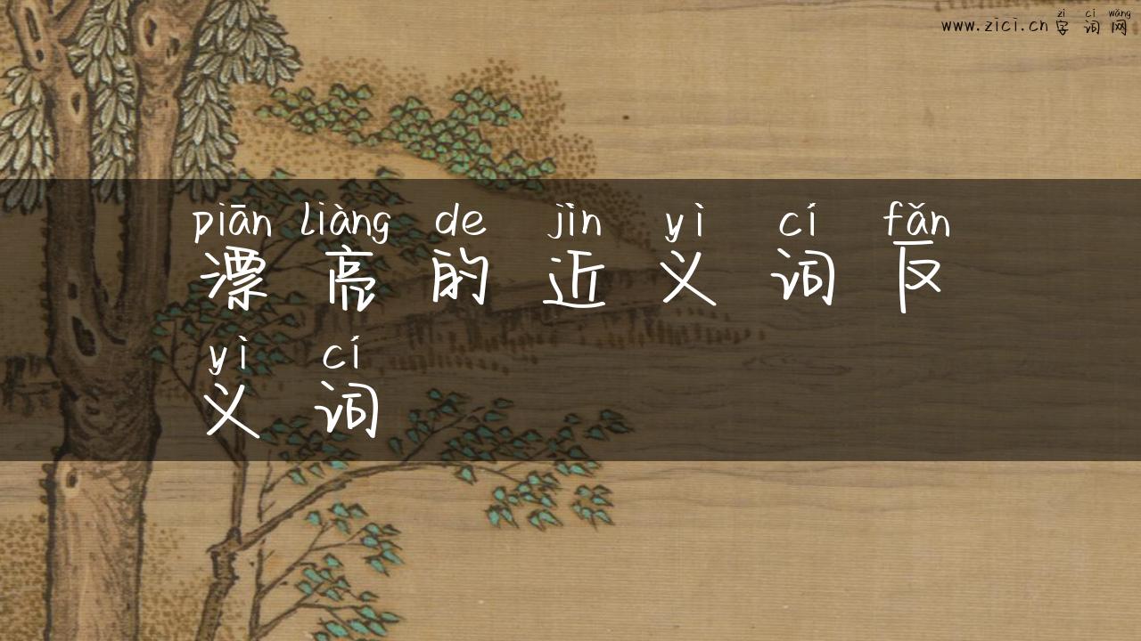 漂亮的近义词反义词