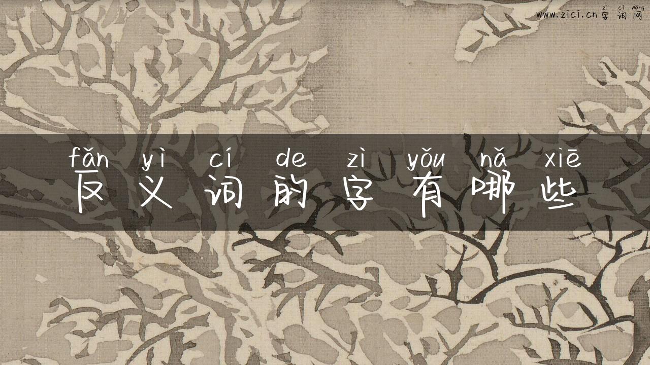 反义词的字有哪些