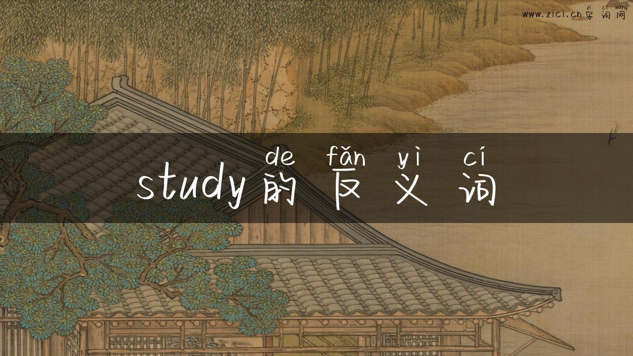 study的反义词