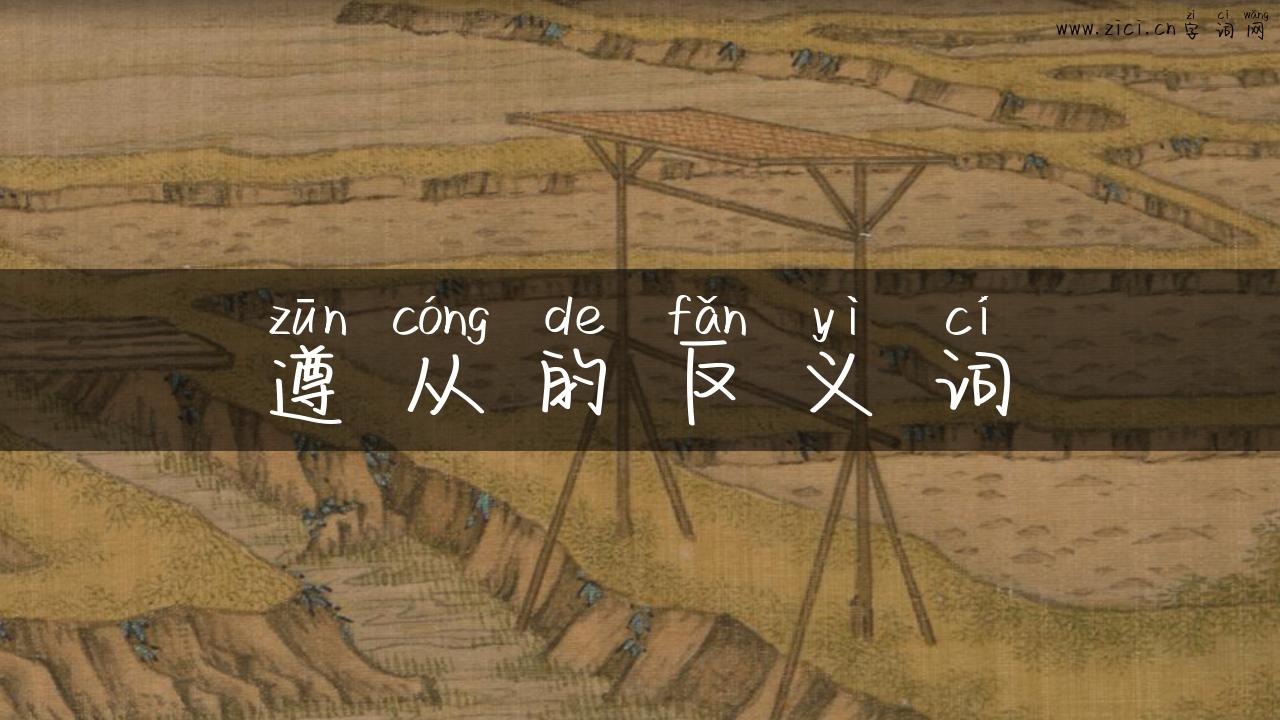 遵从的反义词