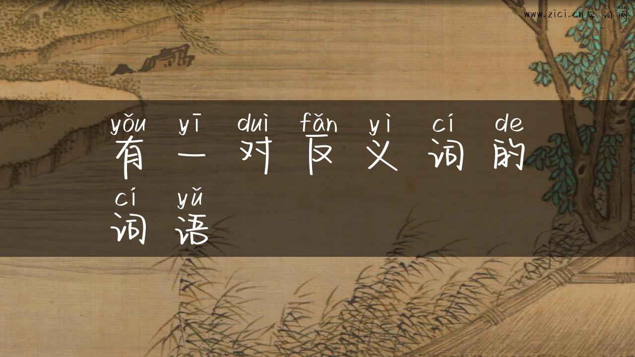 有一对反义词的词语