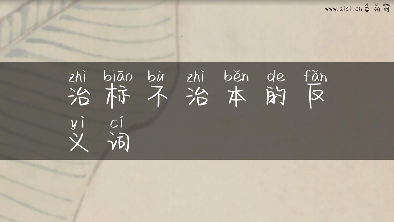治标不治本的反义词