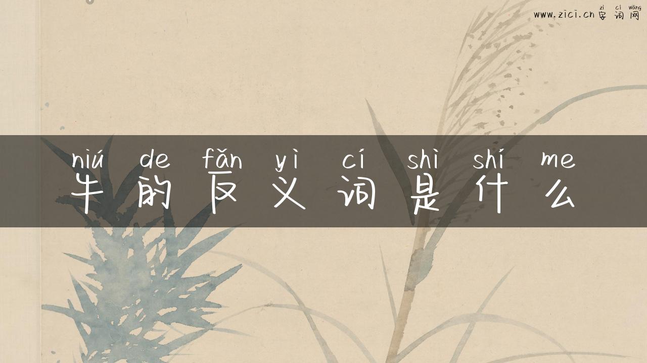 牛的反义词是什么