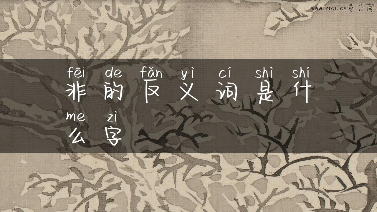 非的反义词是什么字