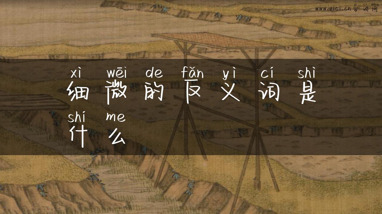 细微的反义词是什么