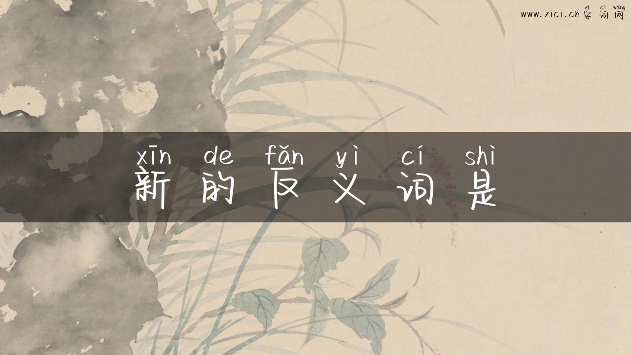 新的反义词是