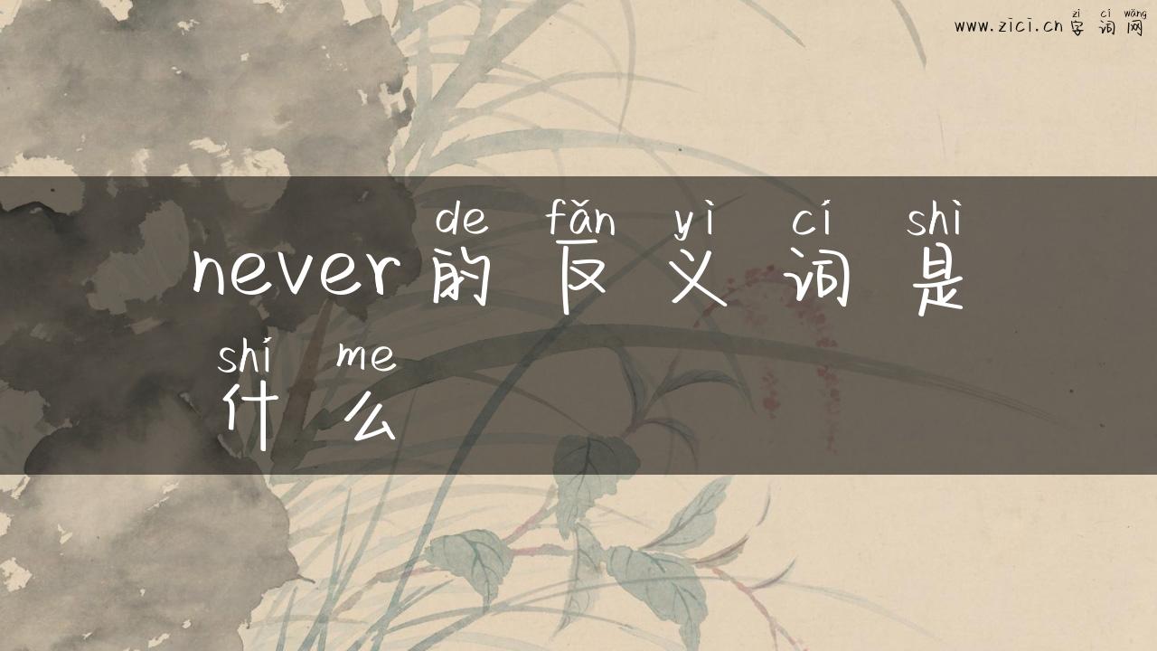 never的反义词是什么