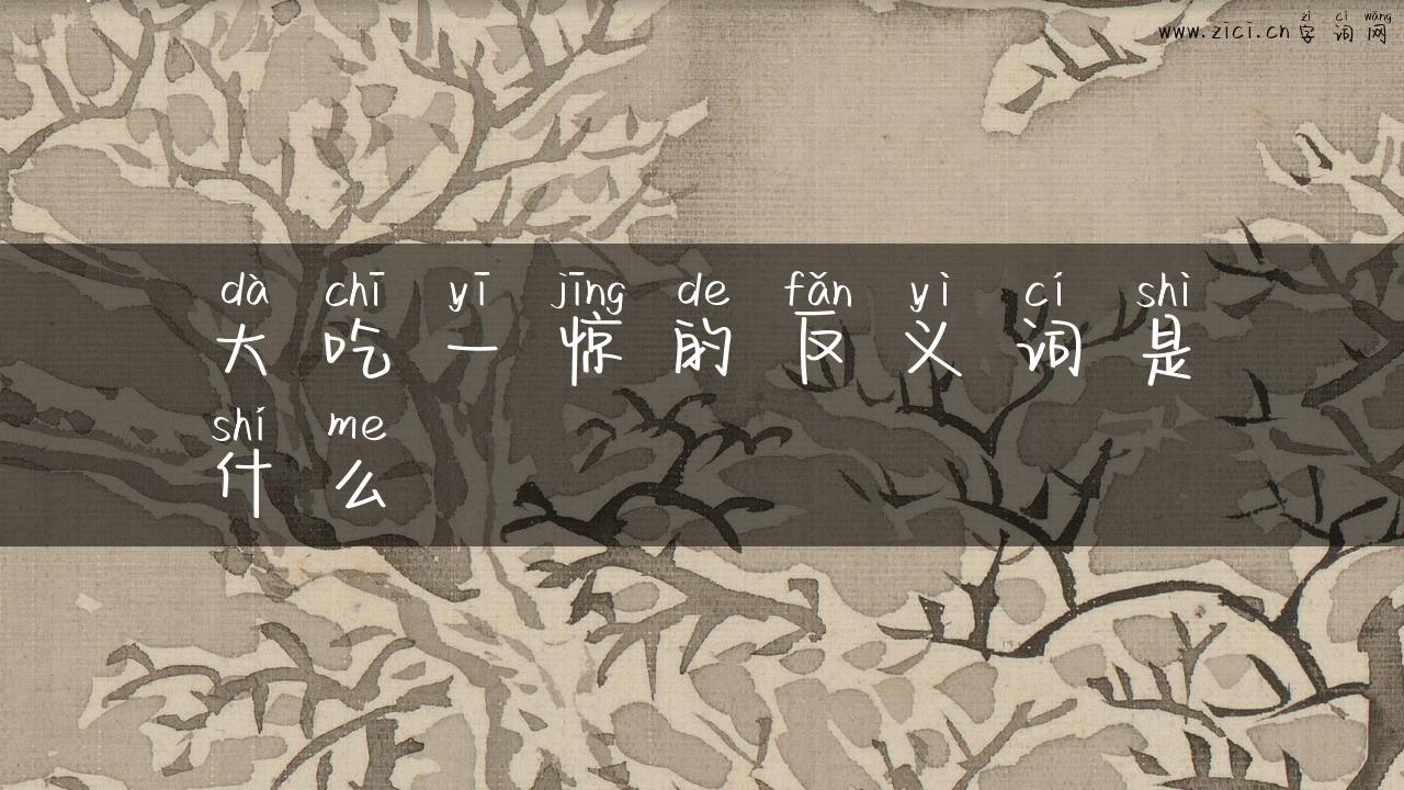 大吃一惊的反义词是什么