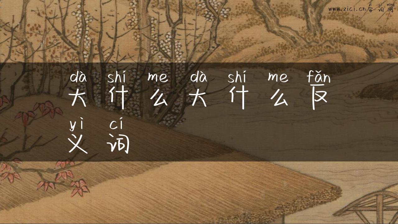 大什么大什么反义词