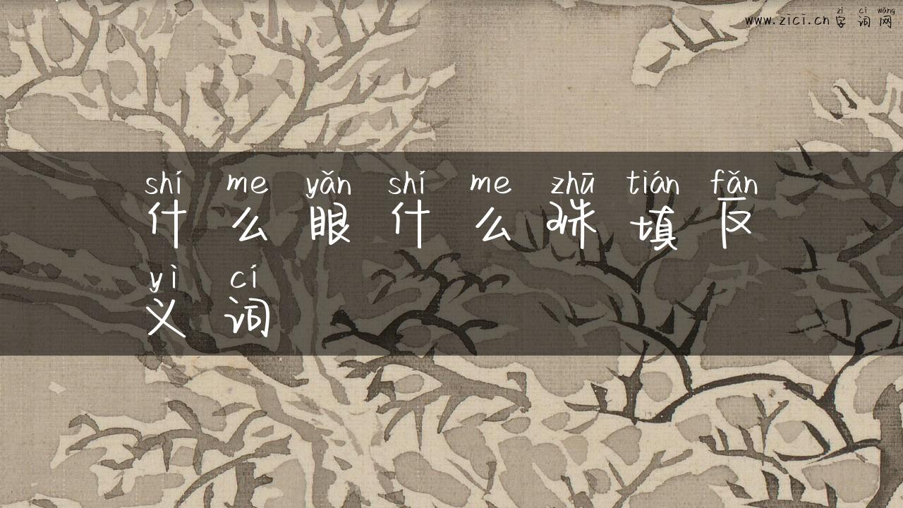 什么眼什么珠填反义词