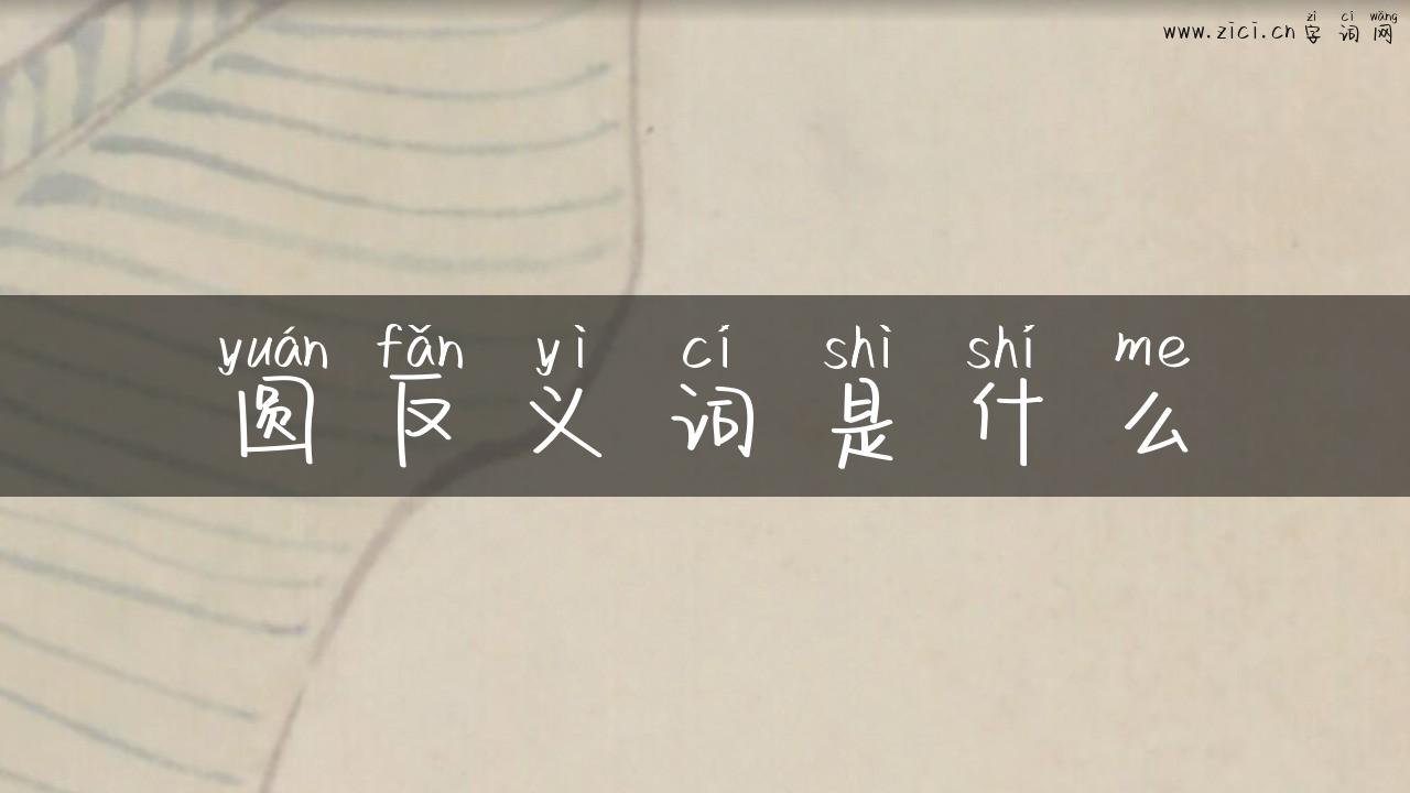 圆反义词是什么