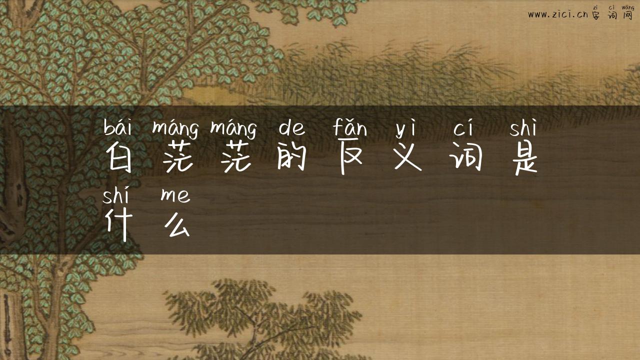 白茫茫的反义词是什么