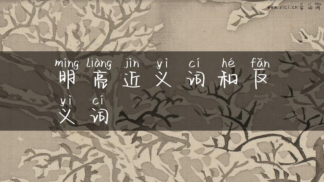 明亮近义词和反义词