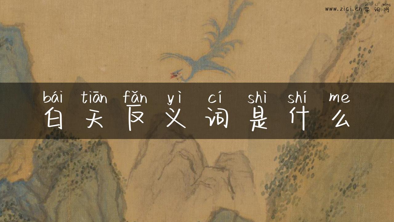 白天反义词是什么
