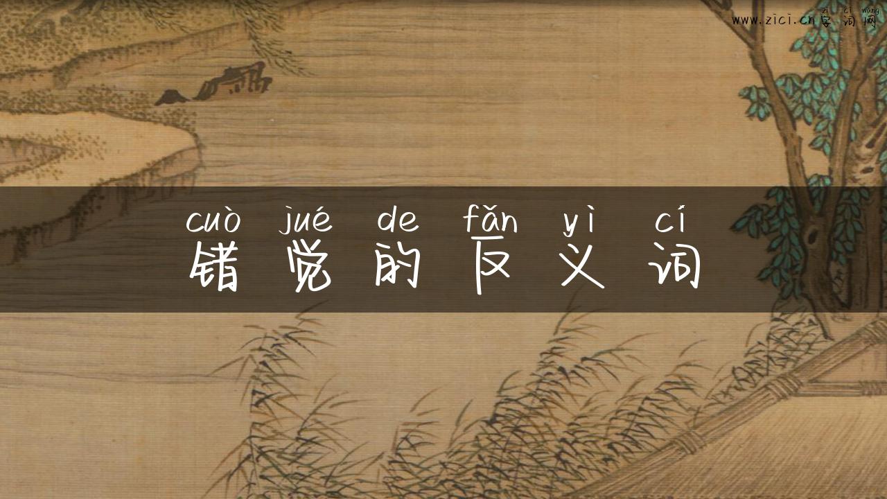 错觉的反义词