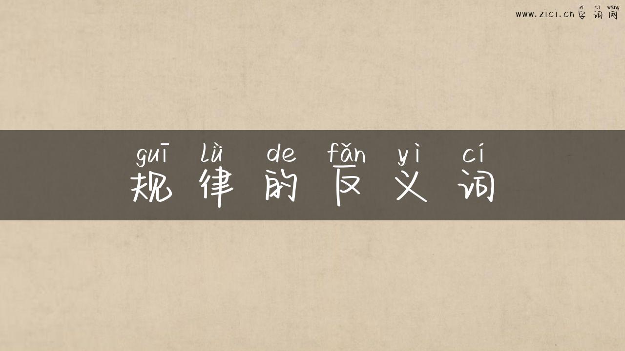 规律的反义词