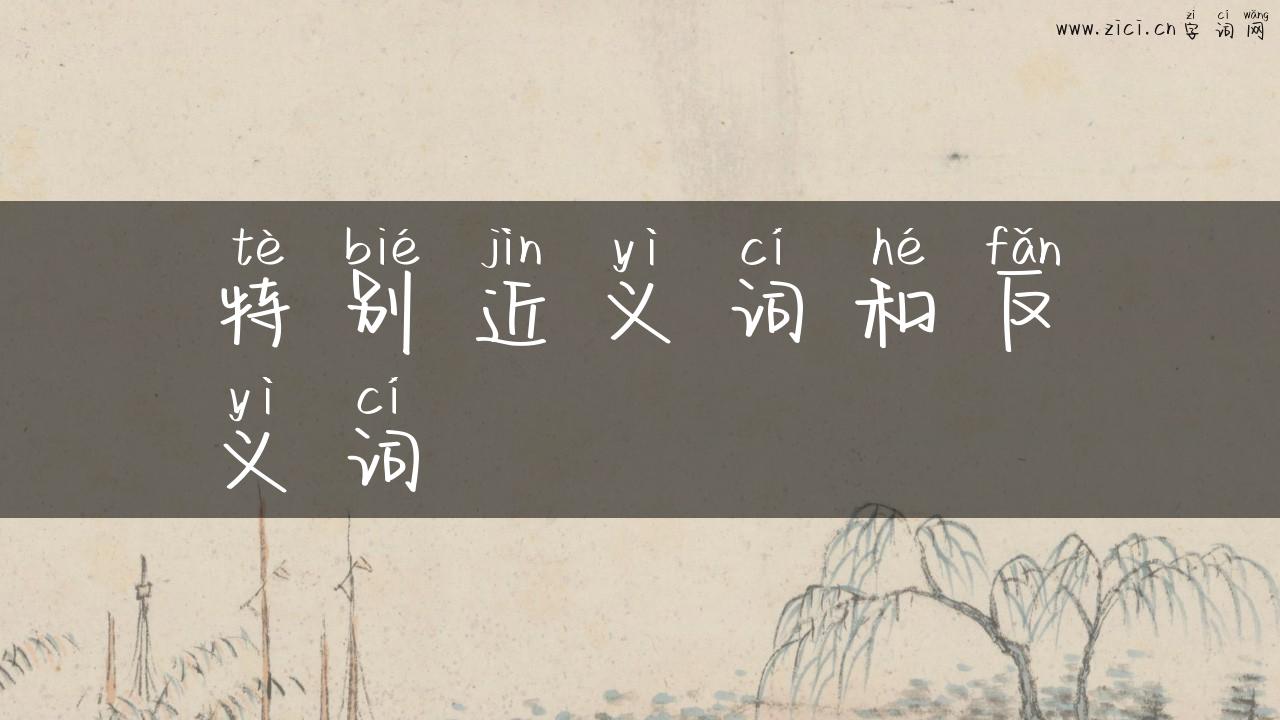 特别近义词和反义词