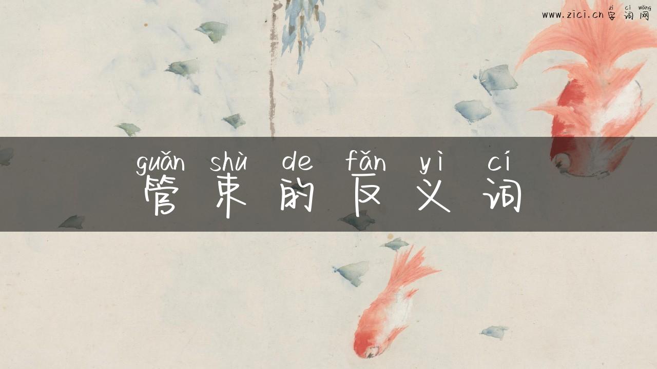 管束的反义词