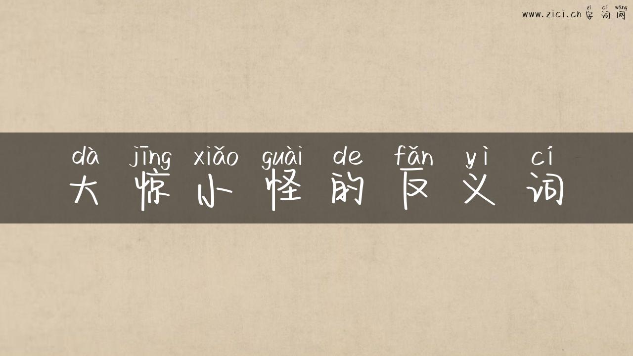 大惊小怪的反义词