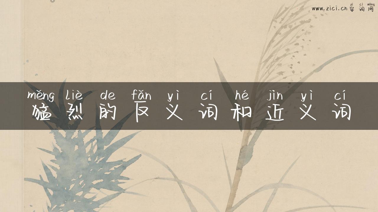猛烈的反义词和近义词