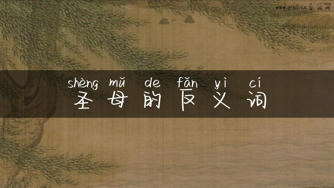 圣母的反义词