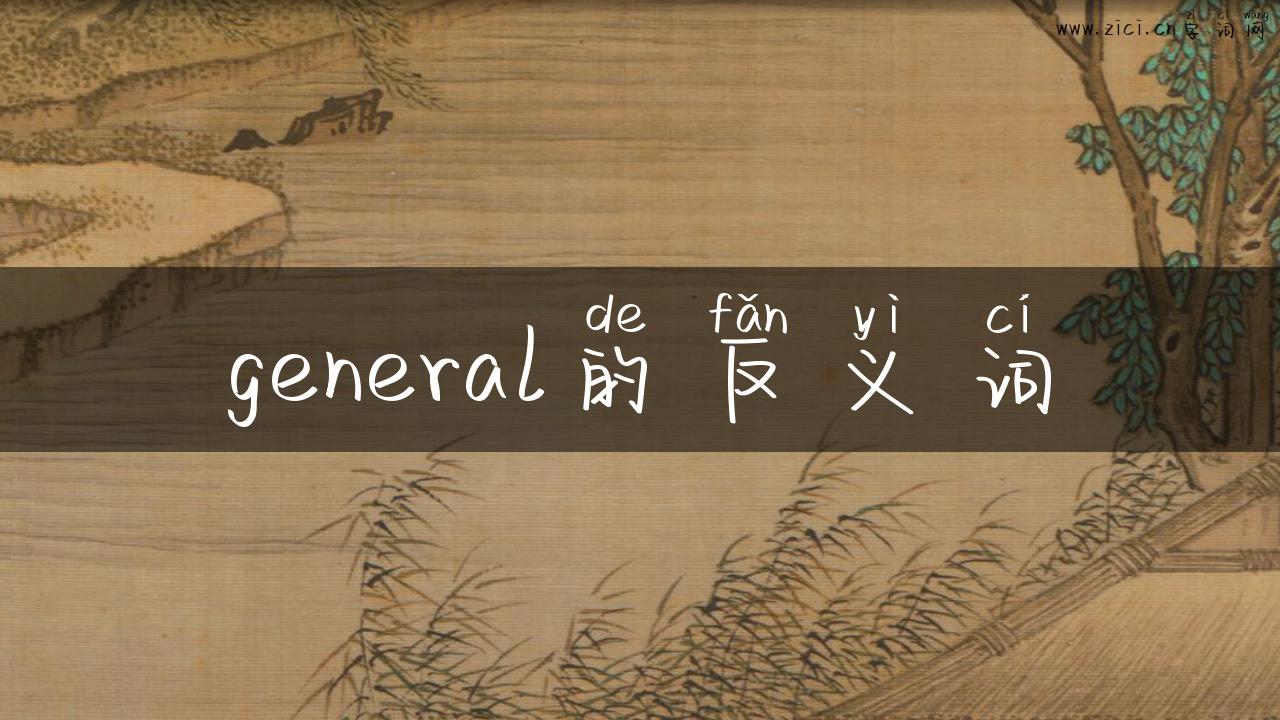 general的反义词
