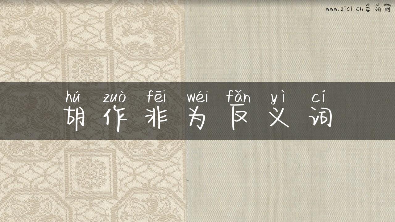 胡作非为反义词