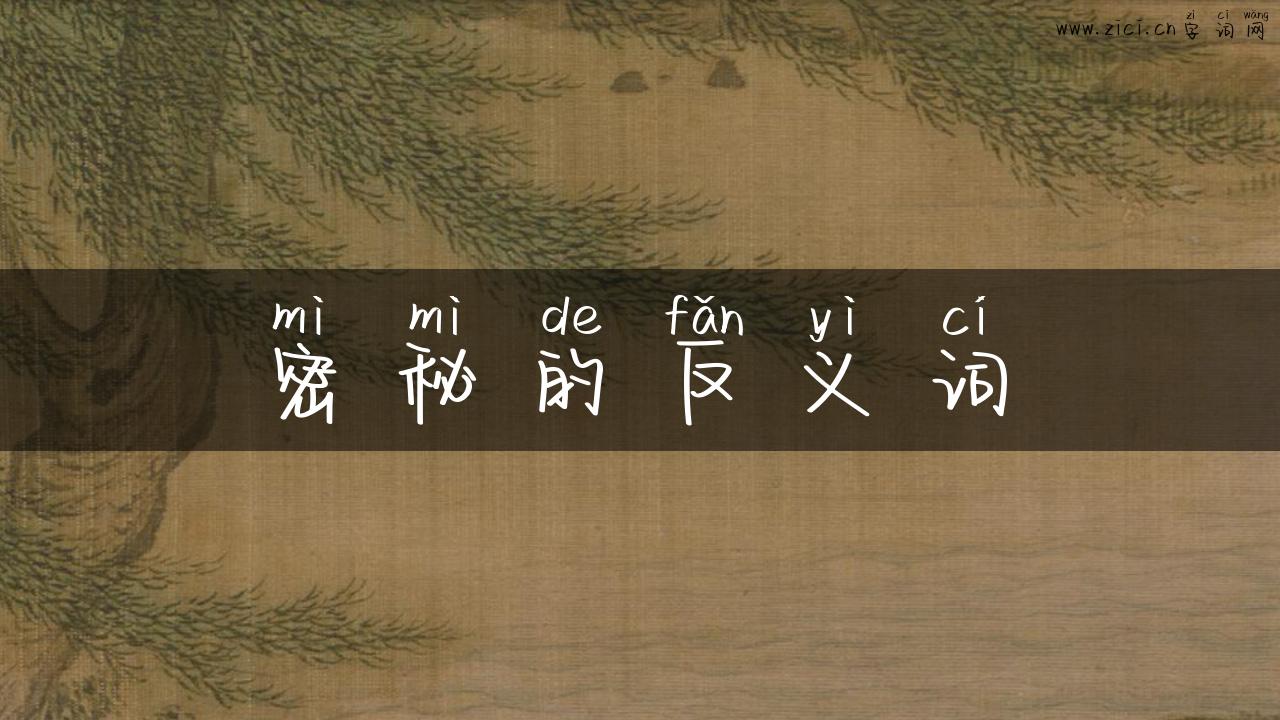 密秘的反义词
