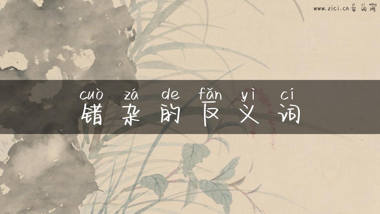 错杂的反义词
