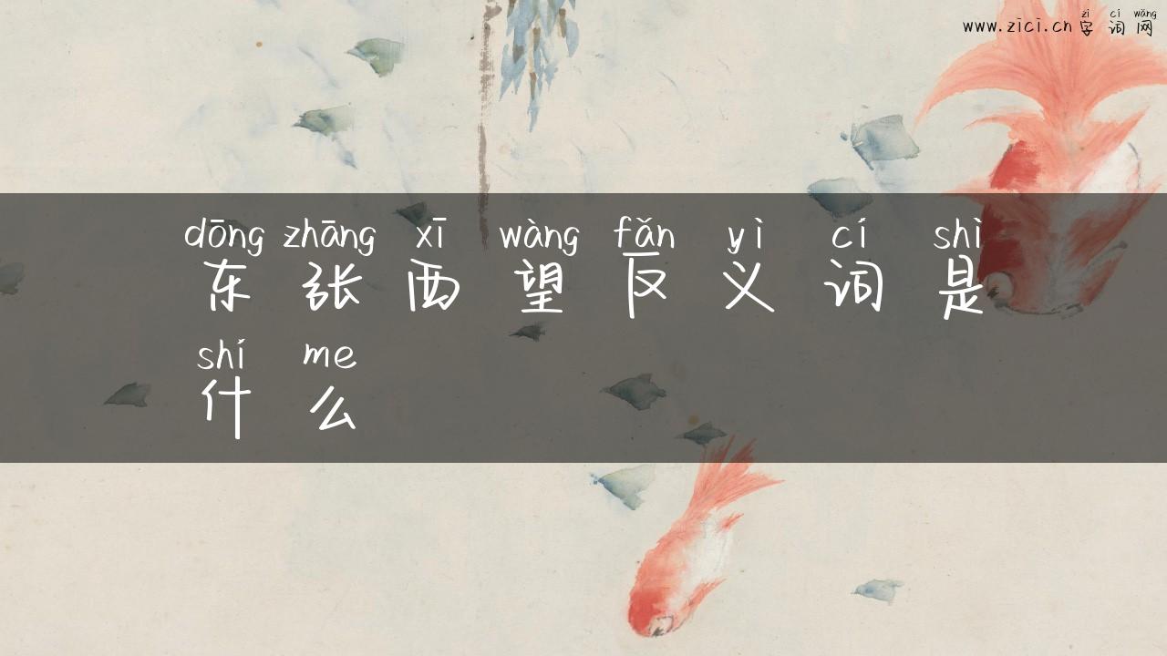 东张西望反义词是什么