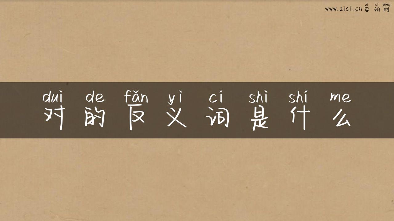 对的反义词是什么