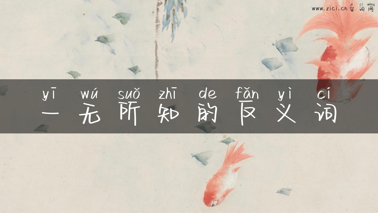 一无所知的反义词