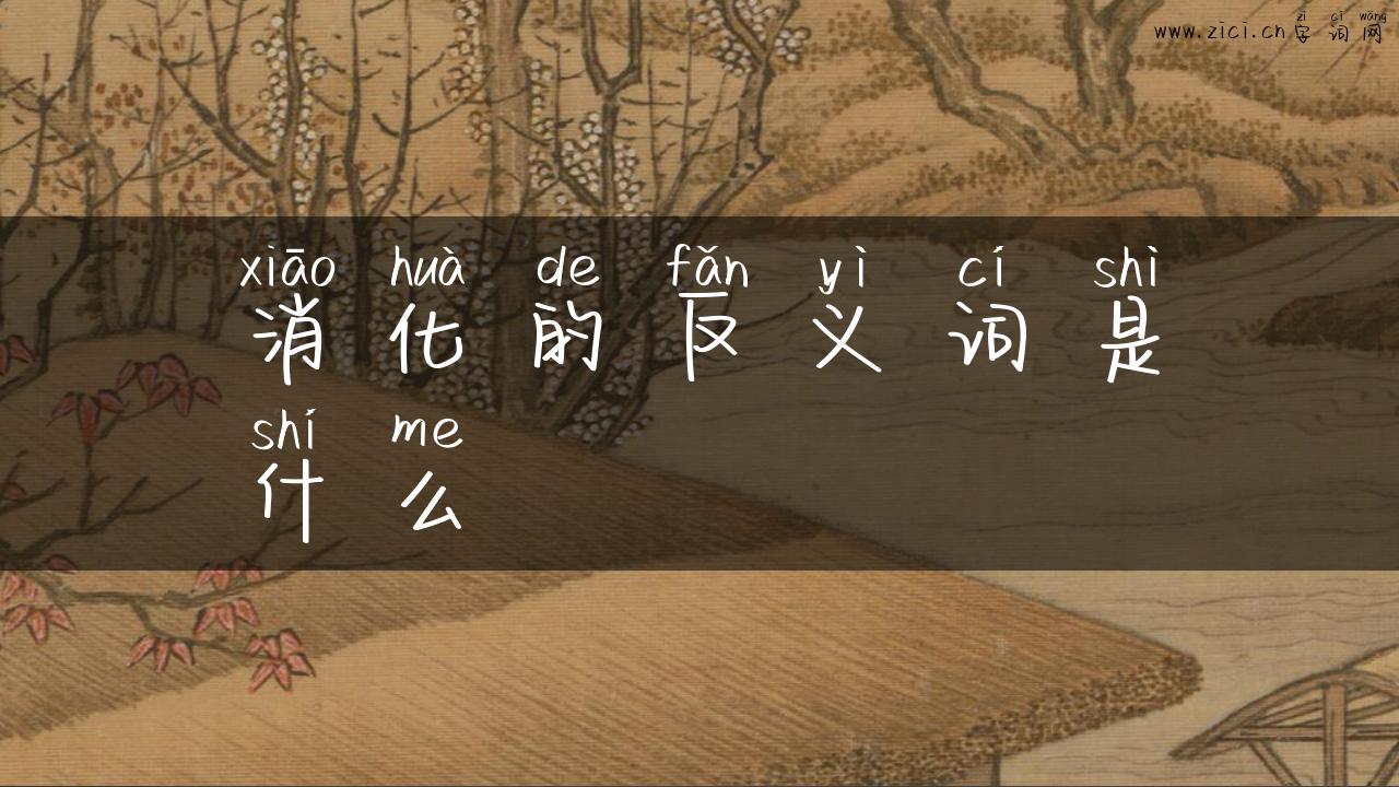 消化的反义词是什么