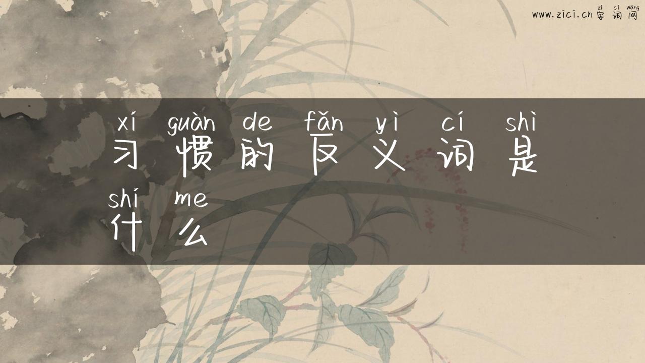 习惯的反义词是什么
