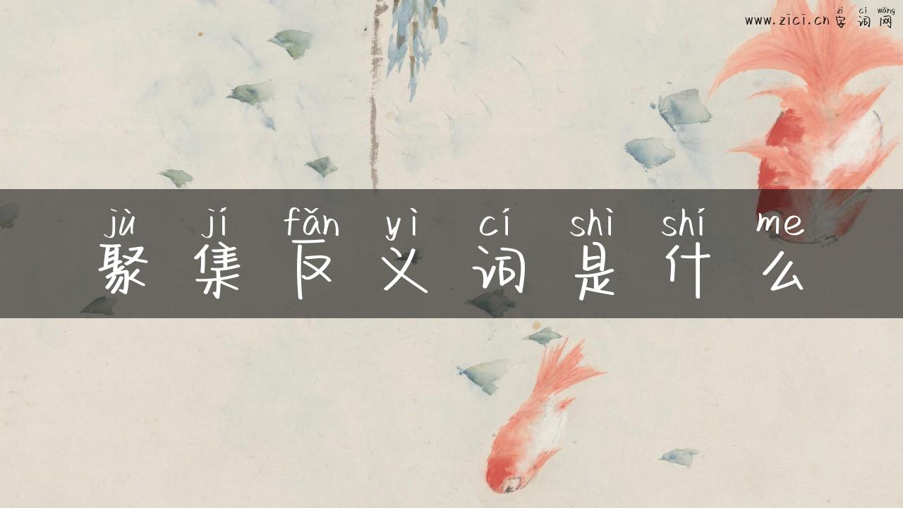 聚集反义词是什么