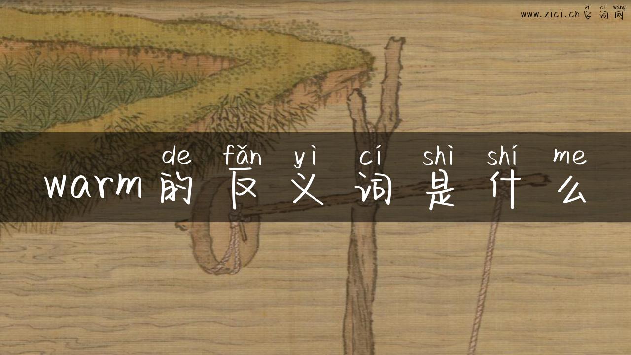 warm的反义词是什么