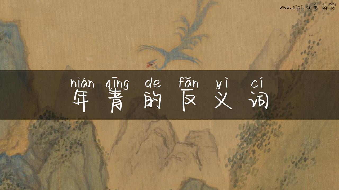 年青的反义词