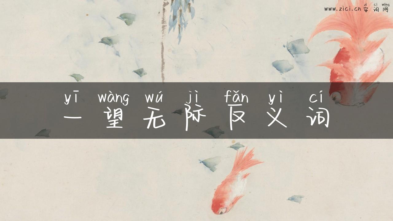 一望无际反义词