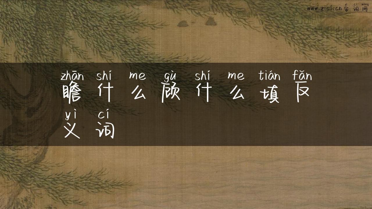 瞻什么顾什么填反义词