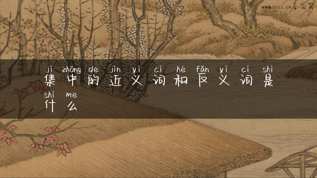 集中的近义词和反义词是什么