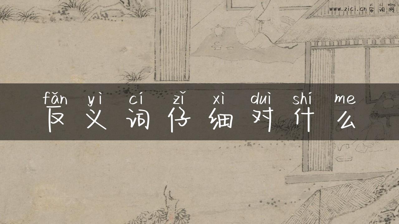 反义词仔细对什么
